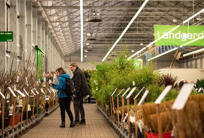 Newsletter Landgard Ordertage Verband Deutscher GartenCenter e.V.