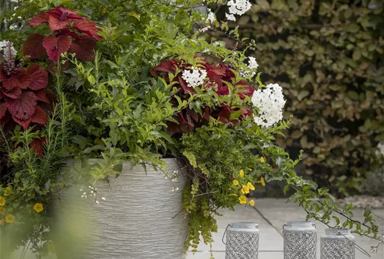 Laternen im Garten