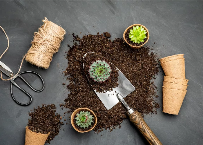 Aus- und Fortbildung