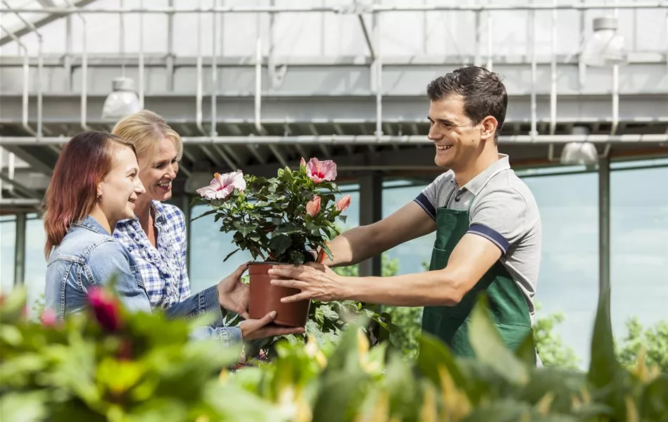 Verkäufer und Kundinnen im Gartencenter