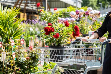 WORKSHOP: Unternehmensstrategie