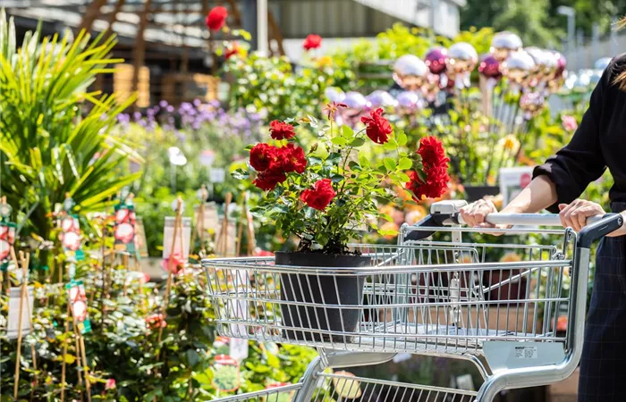 WORKSHOP: Unternehmensstrategie