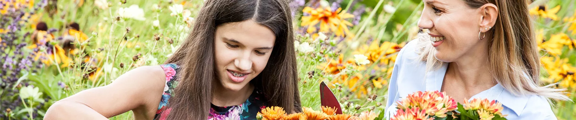 Pflanzen einpflanzen  Pflanzen einpflanzen