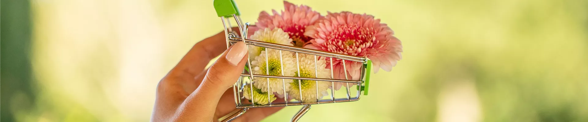 Einkaufssymbol - Einkaufswagen Blüten Einkaufssymbol - Einkaufswagen Blüten