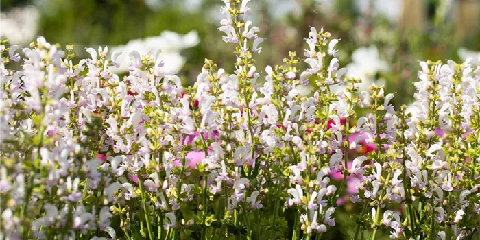 Information Information