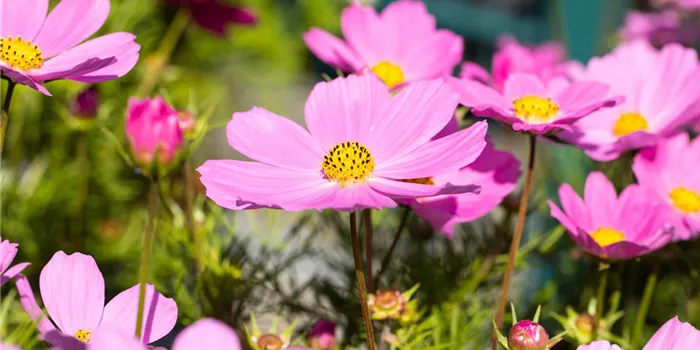 Qualifikation Qualifikation