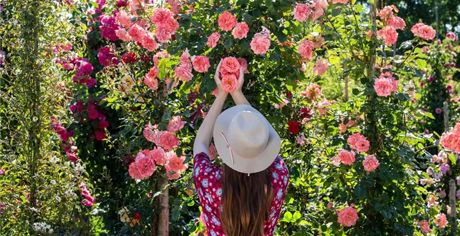 Frau hält Rosen in der Hand