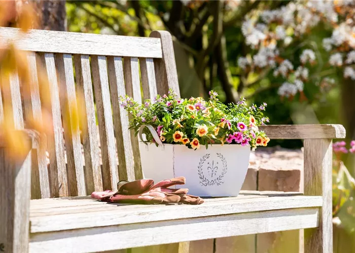 Unsere Geschichte Unsere Geschichte