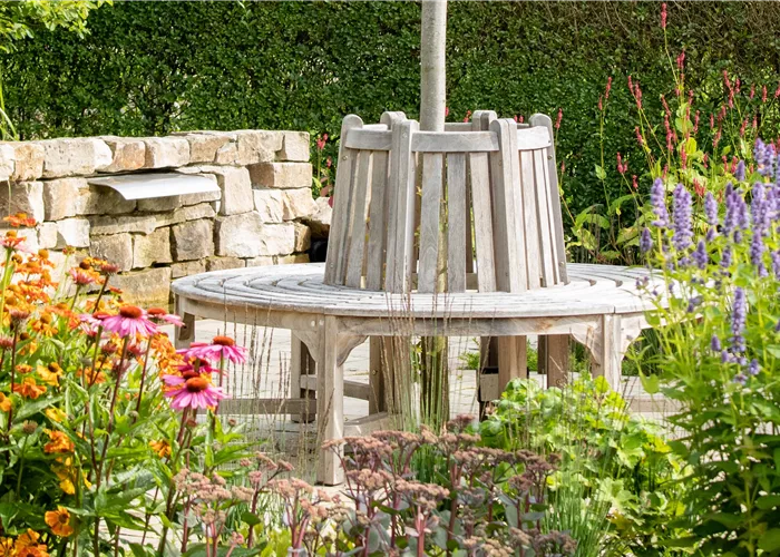 Vorstand & Geschäftsstelle Vorstand & Geschäftsstelle