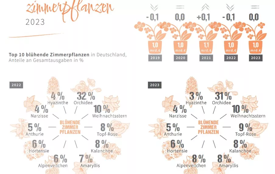 Blühende Zimmerpflanzen 2023