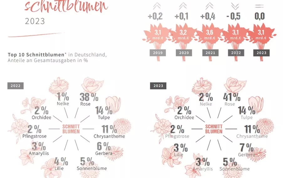 Schnittblumen 2023