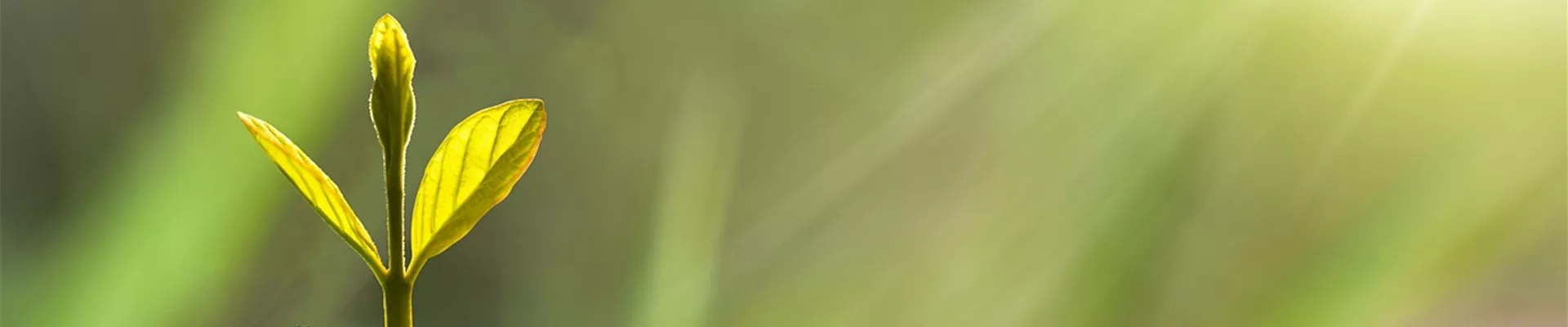 Bild von eko pramono auf Pixabay-Ausbildung Bild von eko pramono auf Pixabay-Ausbildung