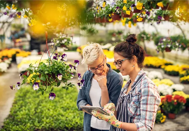 iStock-915892582.jpg