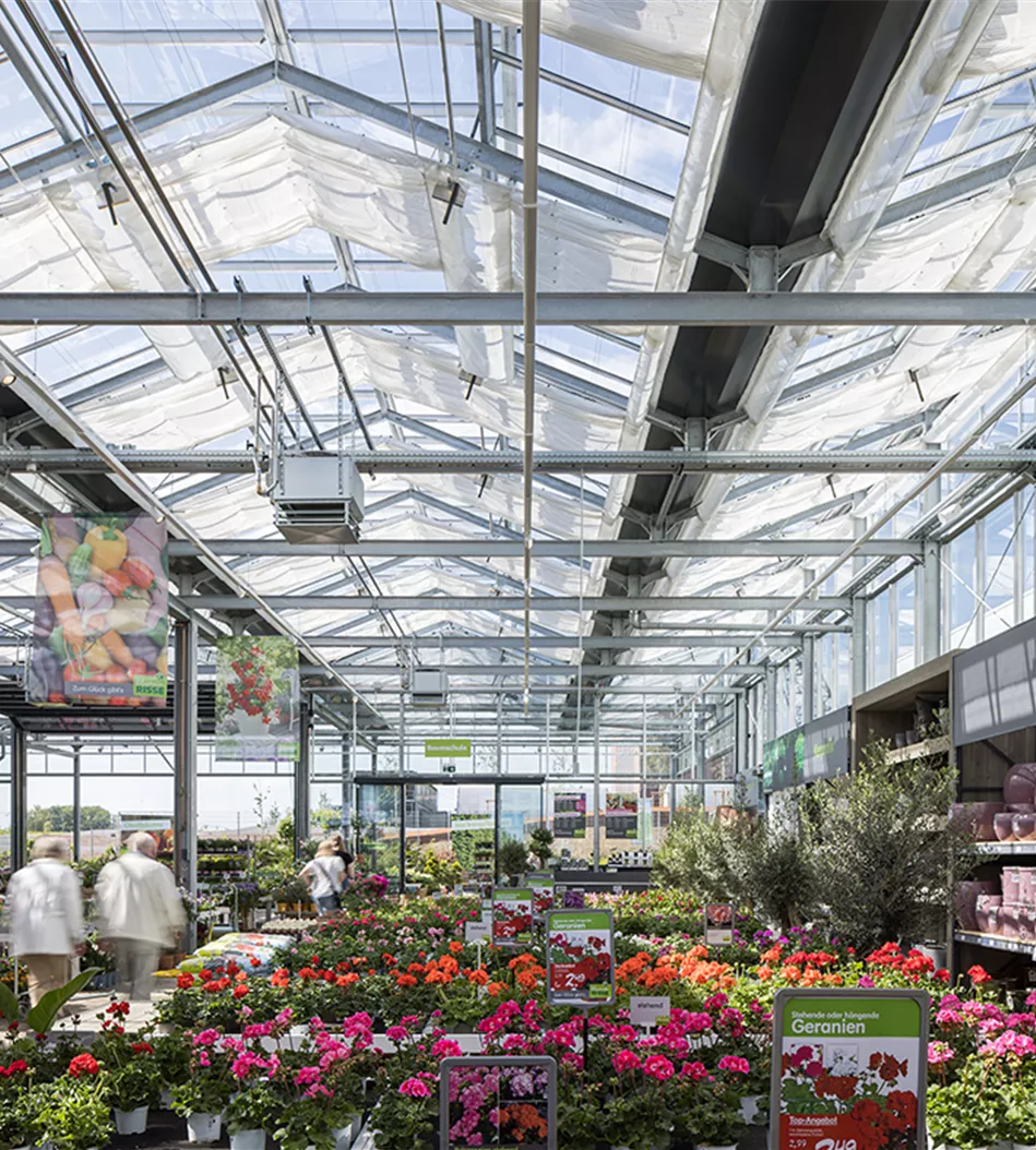 Rabensteiner_Blumen-Risse_13hK.jpg