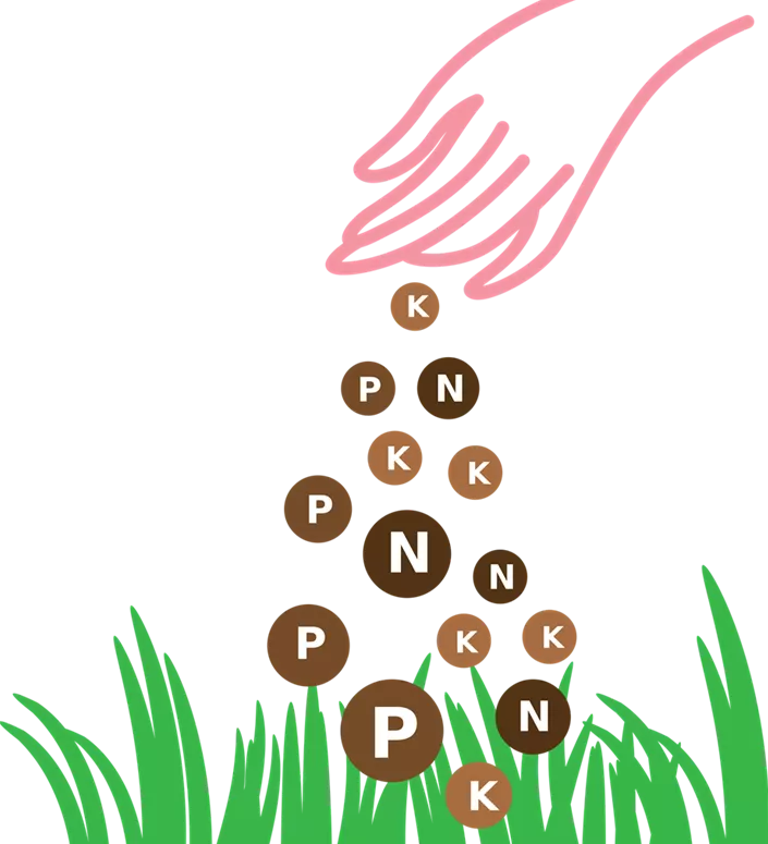 Bild von Jüri Grinko auf Pixabay_Akademie.png