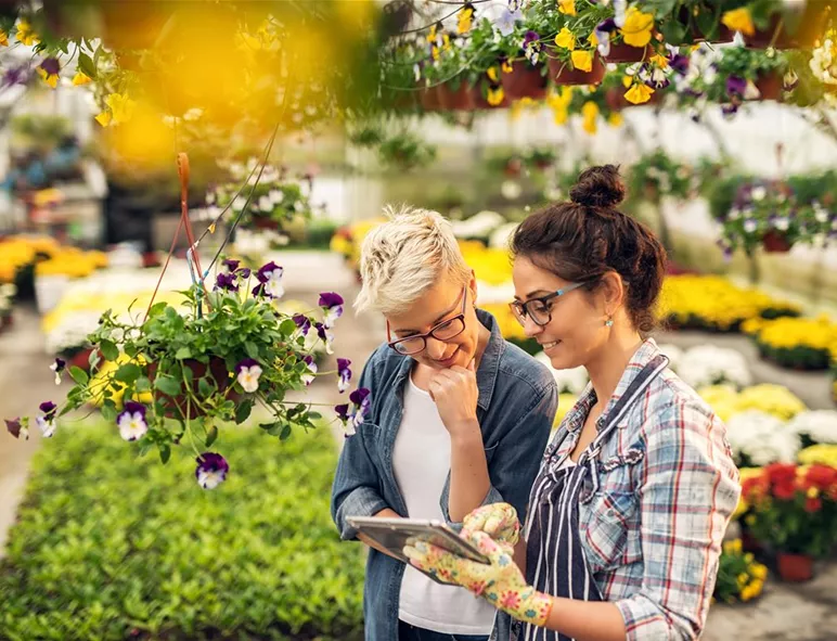 iStock-915892582.jpg