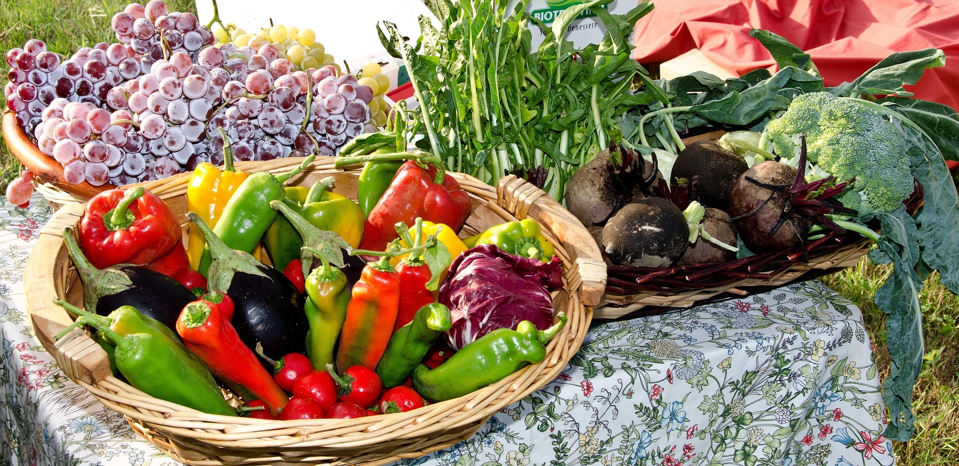 Bild von serenaste auf Pixabay_Webinar.jpg