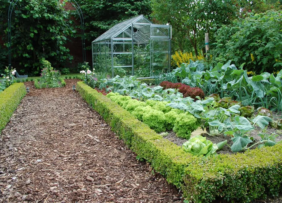 Bauerngarten2.JPG