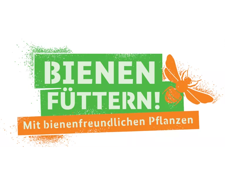 bienen-fuettern.png