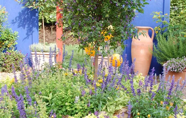 Sommerblumenbeet mit blauer Wand.JPG