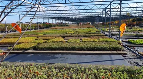 Azubi XXL Möglingen, Häußermann