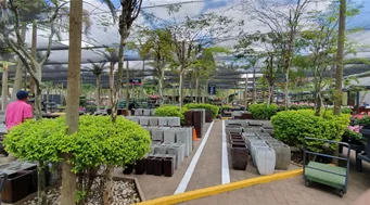 IGCA 2025 Südafrika IGCA 2025 Südafrika