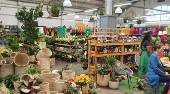 IGCA 2025 Südafrika IGCA 2025 Südafrika