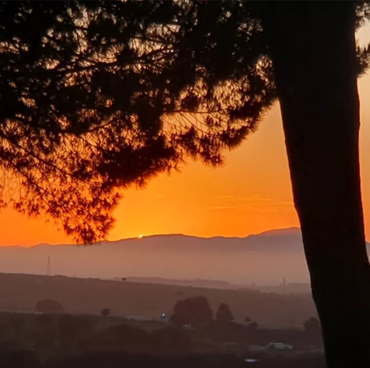 IGCA 2025 Südafrika IGCA 2025 Südafrika