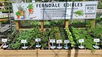 20251020_113047.jpg 20251020_113047.jpg