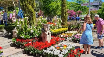 20251020_112639.jpg 20251020_112639.jpg