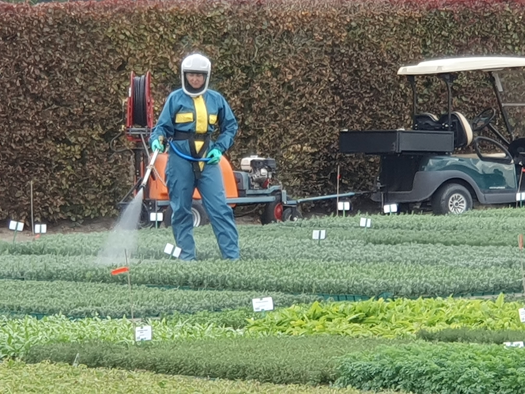 Pflanzenschutz_Freiland_T. Buchenau.jpg