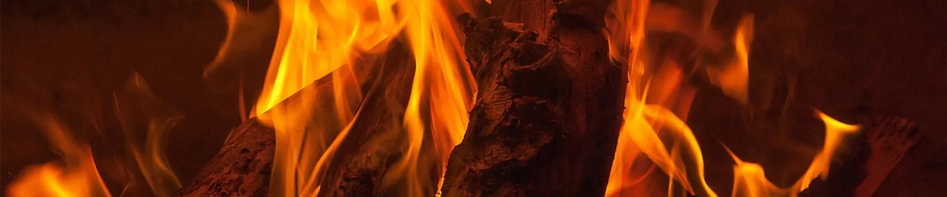 Bild von jacqueline macou auf Pixabay