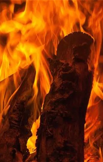 Kaminabend: Marktpositionierung im Wettbewerb