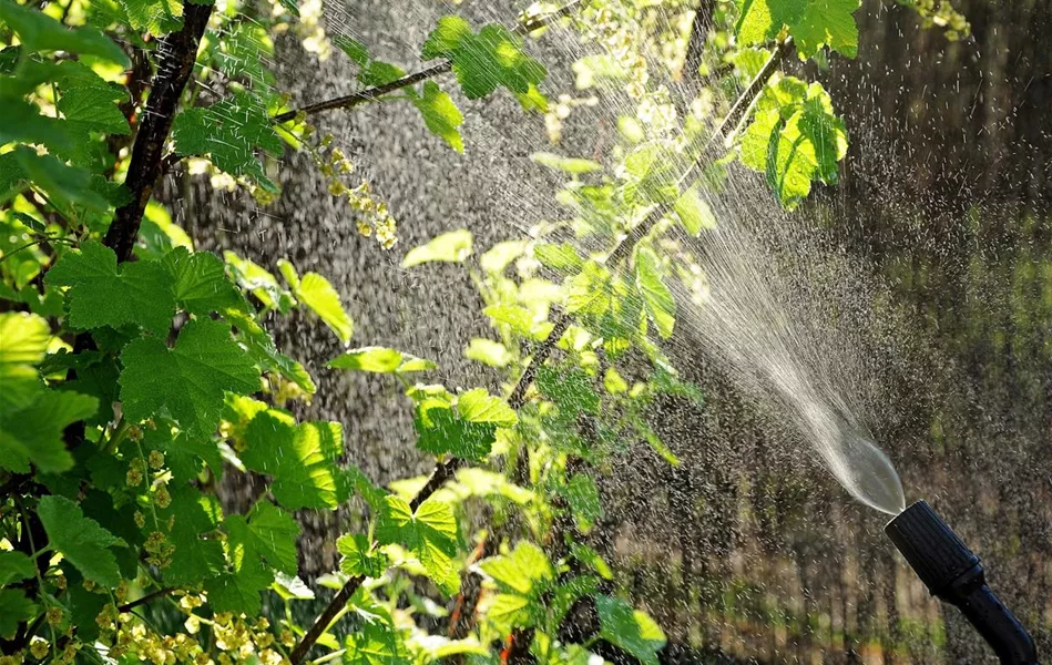 Pflanzenschutz_Ausbringung_Bild von Jerzy auf Pixabay.jpg