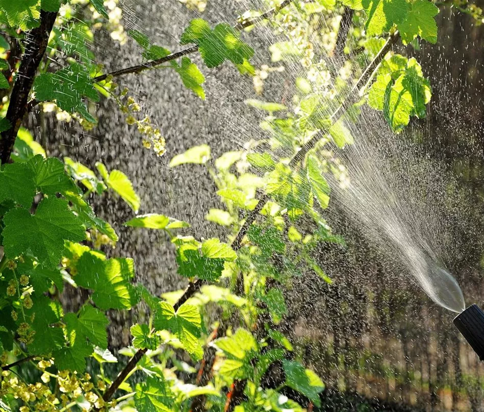 Pflanzenschutz_Ausbringung_Bild von Jerzy auf Pixabay.jpg