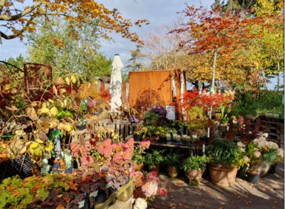 Baumschule 19.02.2026.png