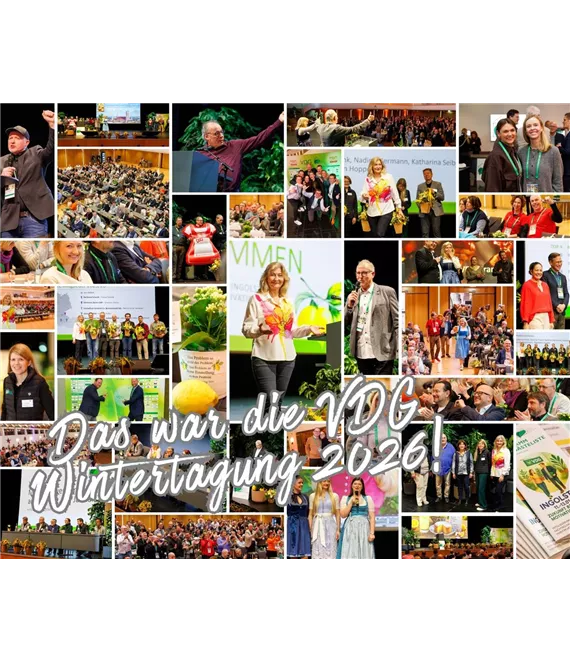 Collage VDG Wintertagung 2026.jpg