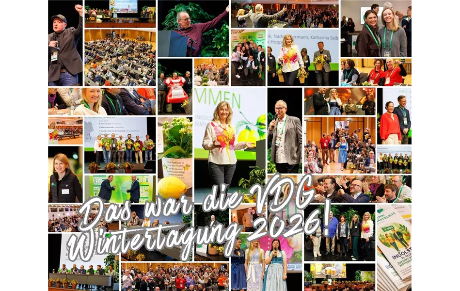 Collage VDG Wintertagung 2026.jpg