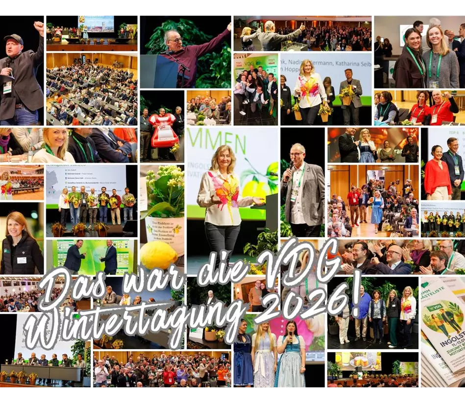 Collage VDG Wintertagung 2026.jpg