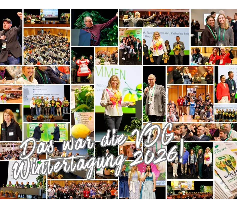 Collage VDG Wintertagung 2026.jpg