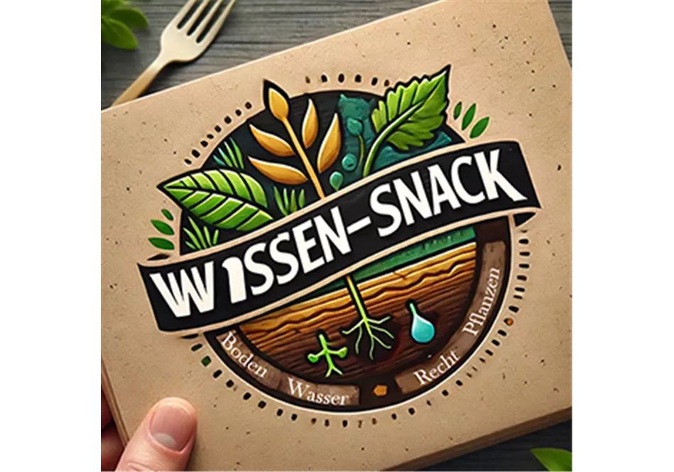 Wissen-Snack.png