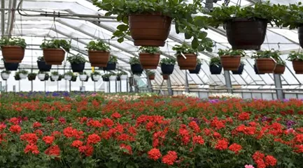 Produktion 2.Stassen.jpg