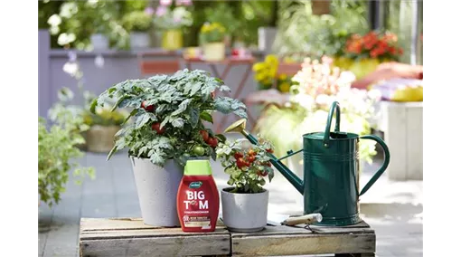 737443_WL_BigTom_Tomatenduenger_1l_LS.jpg