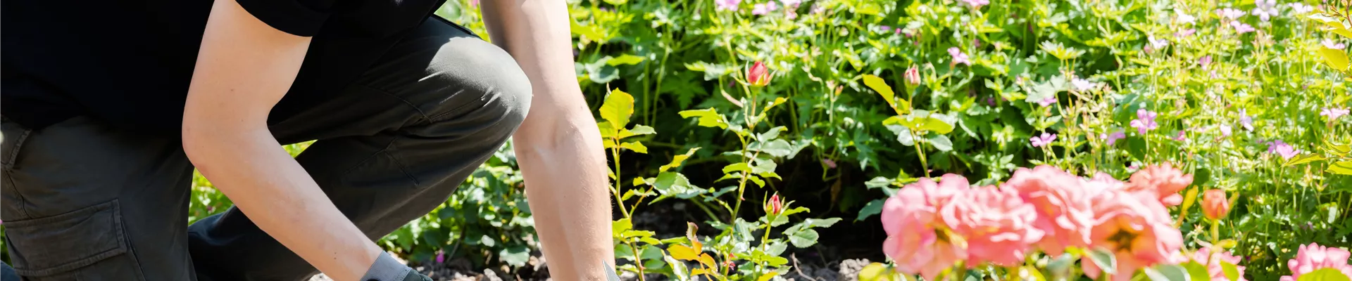 Mann bei der Gartenarbeit