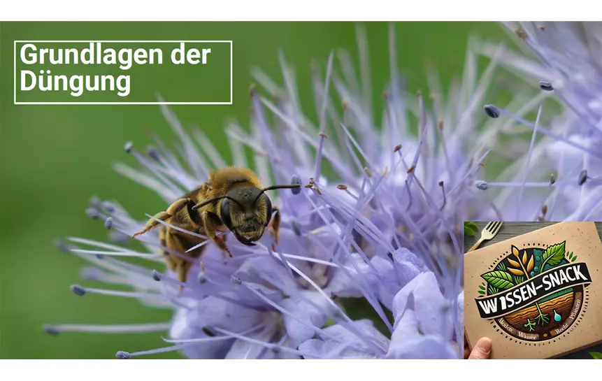 Wissen-Snack Düngung.png