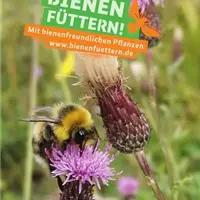 Anlage 6.3_Motiv2_Bienen_Füttern_BMEL_Sharepics Partnerkommunikation.jpg