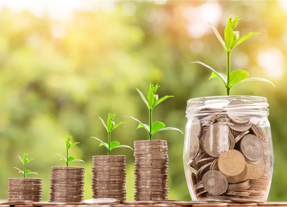 Geld_Münzen_Glas_Keimlinge_Pixabay.jpg